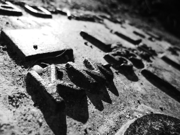 49654272938_8fa3b636cc_b