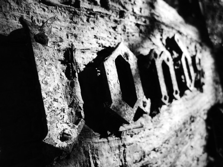 49655091207_41bd2cb917_b