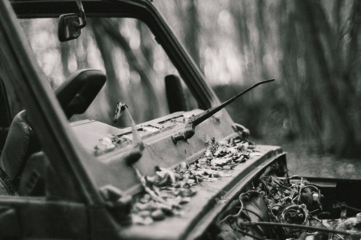 23921920802_c10dd6cbfa_b