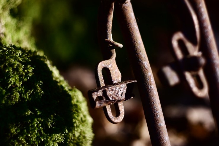 32099809628_255e26445a_b