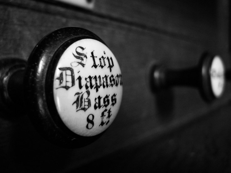 42196269631_882eb5962e_b