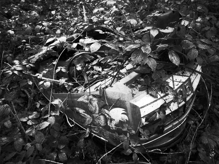 49488132023_b31f1a65f8_b