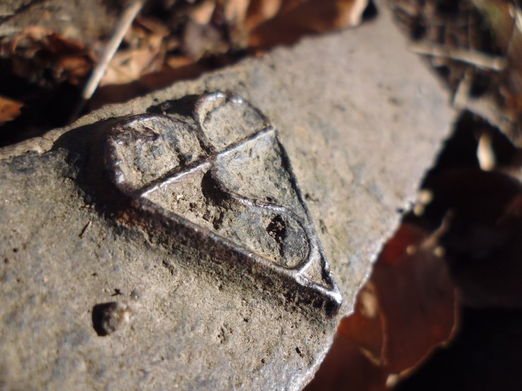 49708911648_d2ee2fe3da_b