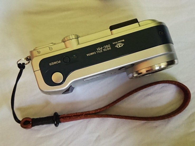 49736036242_047369a70e_b