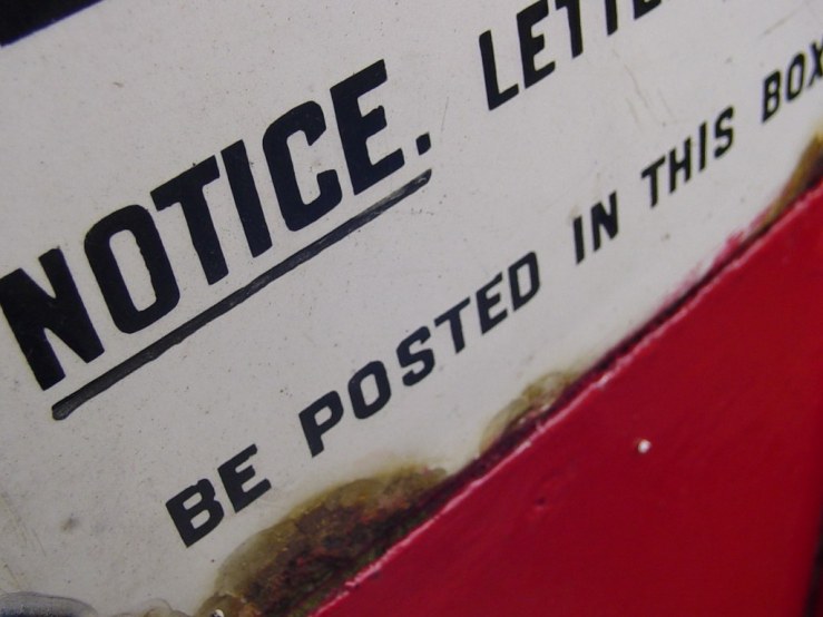 49737544861_daa56897e2_b