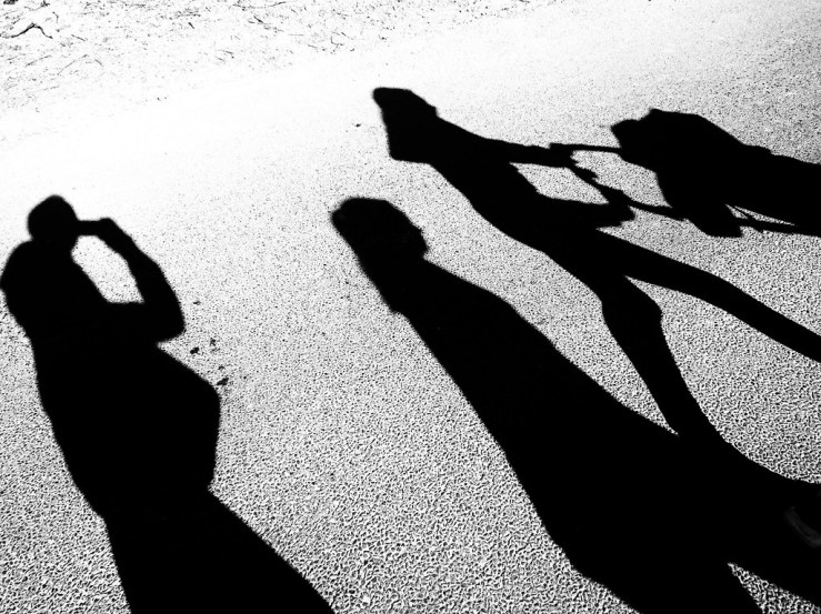 49757570433_96f6596505_b