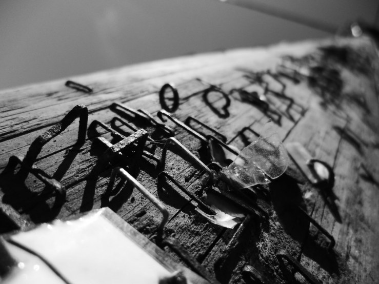 49803220927_b182767023_b