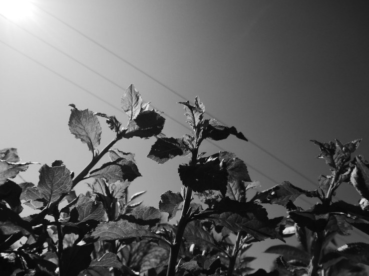 49803221072_b05abb9e3e_b