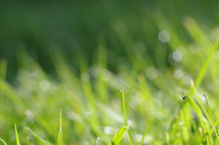 14217683843_62ed35120d_b