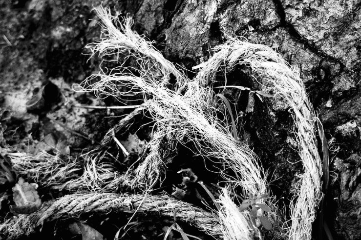 26554863798_ca3d74a131_b