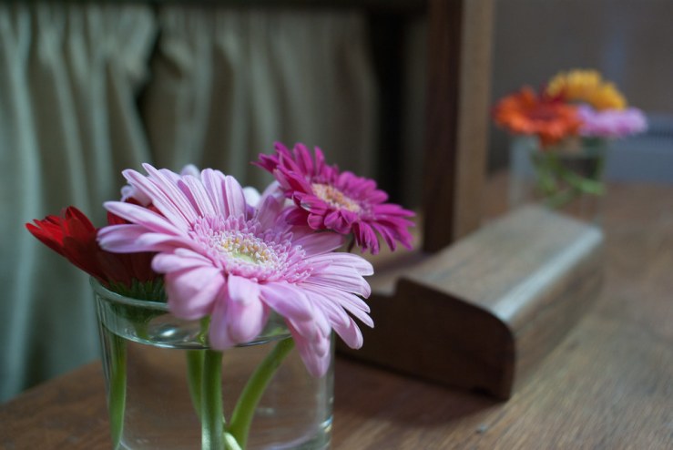 37551631606_7c7f752d40_b