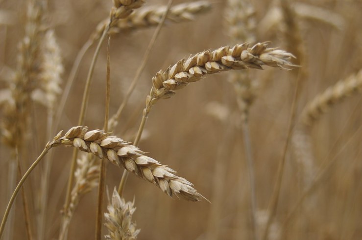 48523145131_6548a6ccec_b