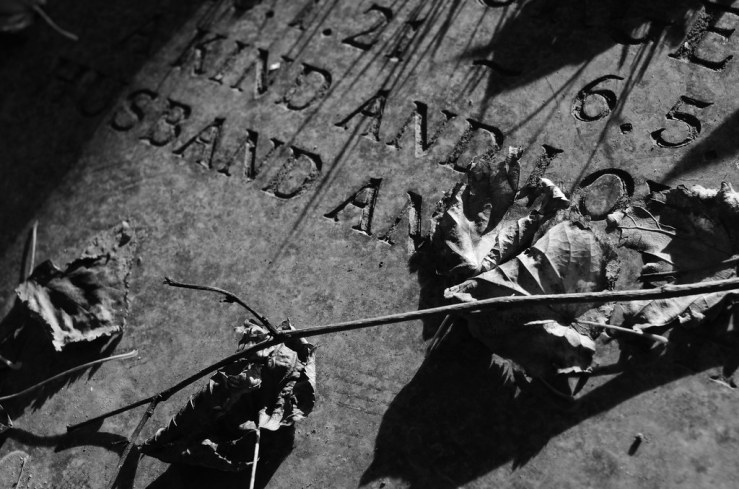 48861147397_ffd31076a0_b