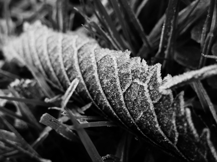 49184529887_0cf7ec392d_b