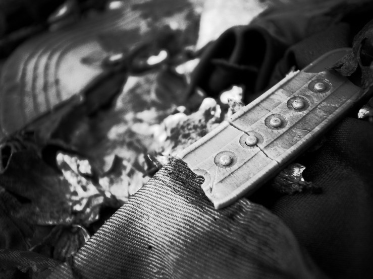 49488628396_7fc4f1f6c9_b