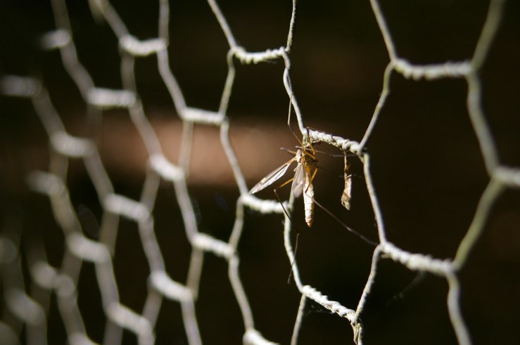 49863487838_3c1607d0d7_b