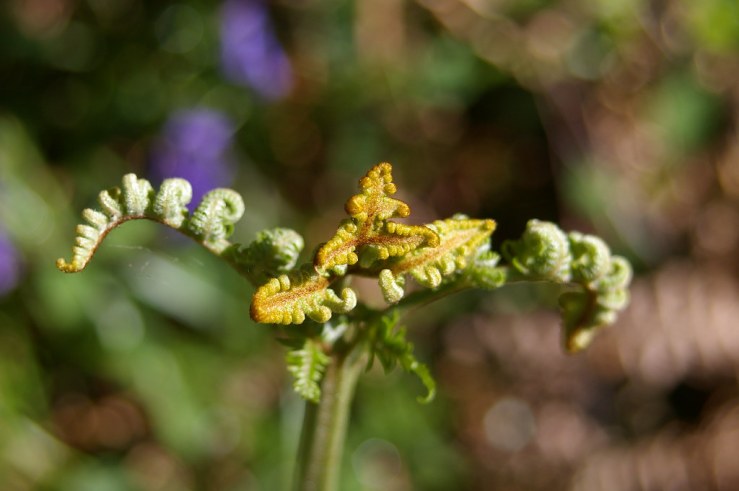 49863487963_abcc09ea47_b