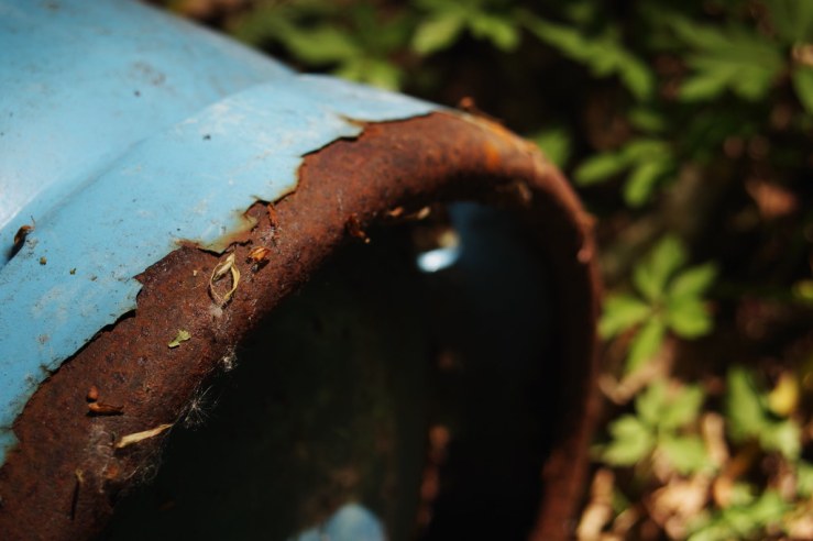 49898666791_eb0212c211_b