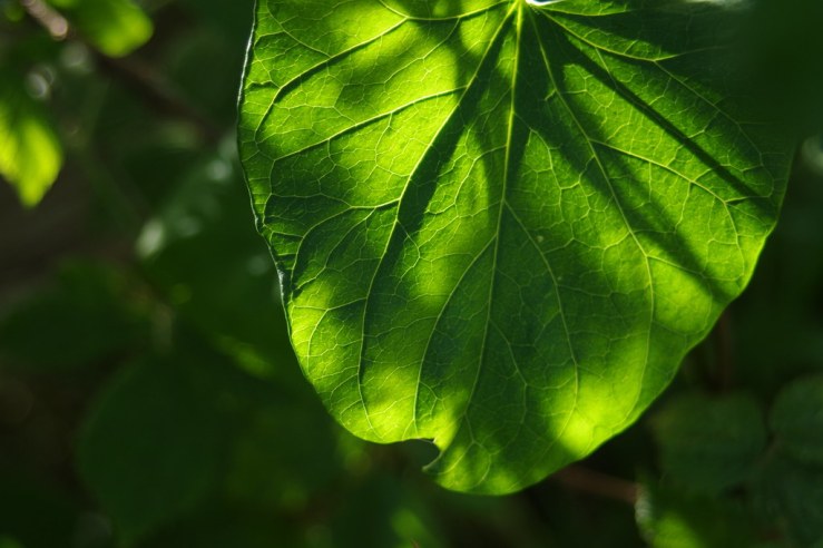 49920814662_b4359d8c95_b