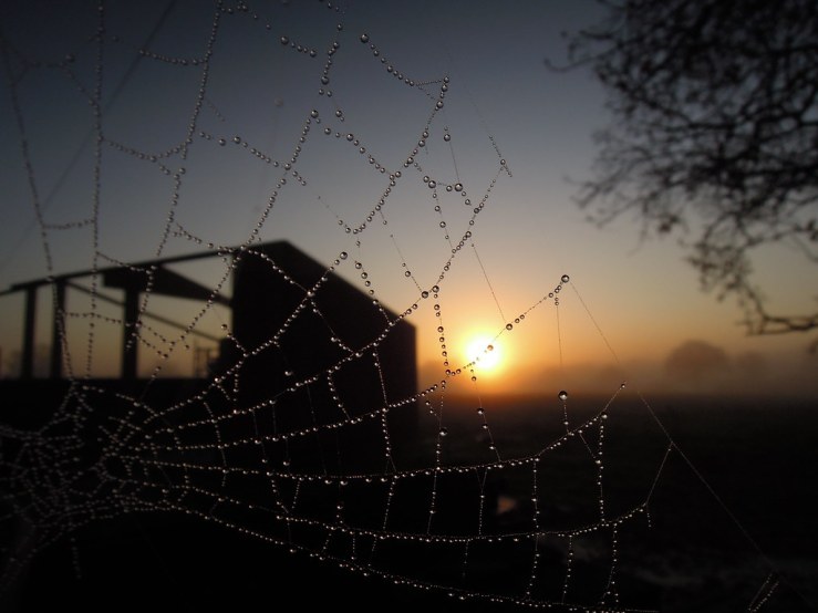 6440956711_95dd2ef6a8_b