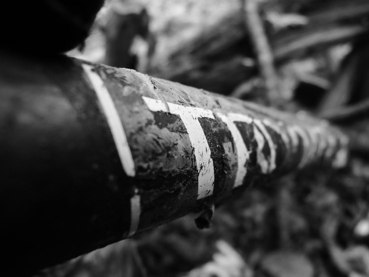 6811809091_d903f2aea4_b