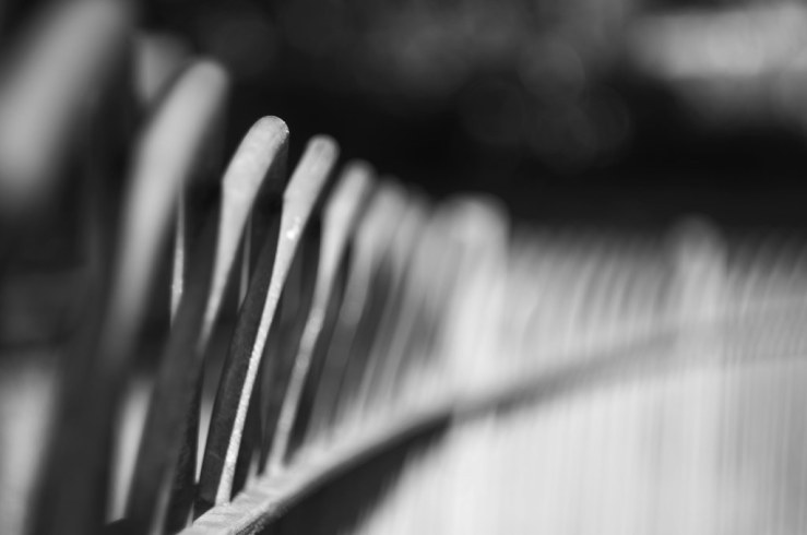 14085474698_245db6ca3d_b