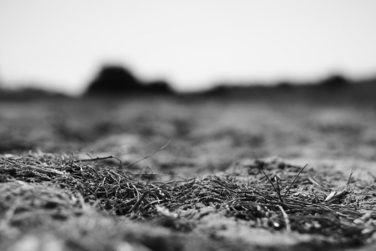 49942849436_4cbe946b16_b