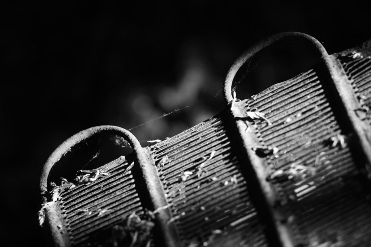 49980960848_6be32dd4d4_b