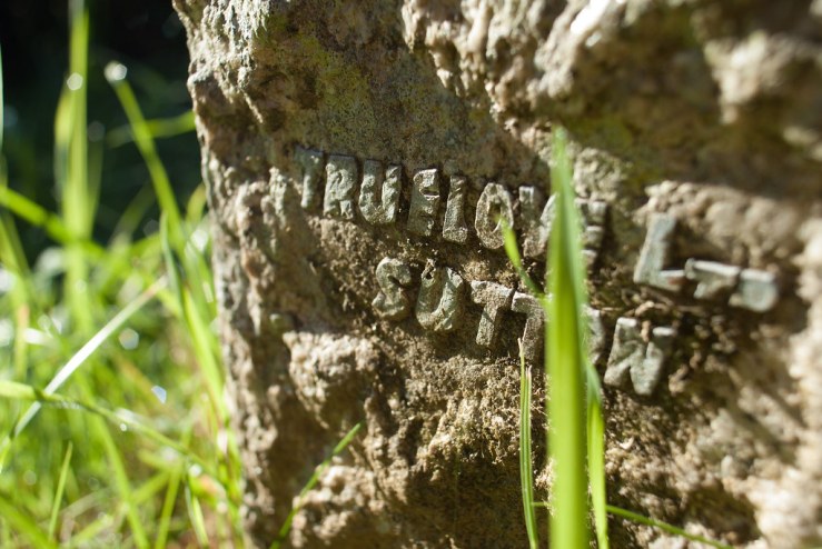 37289353246_57acf81602_b