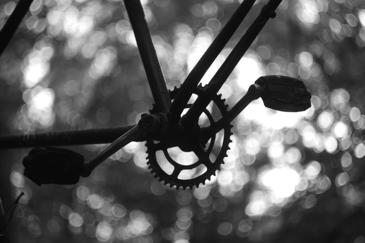 49988575988_4638d9d794_b