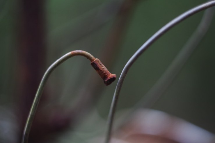 50060258673_4db8efb739_b