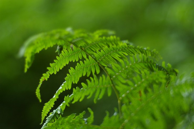 50083741323_2da980ac5e_b