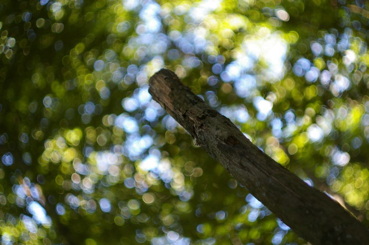 50100968408_a6f59d5b9d_b