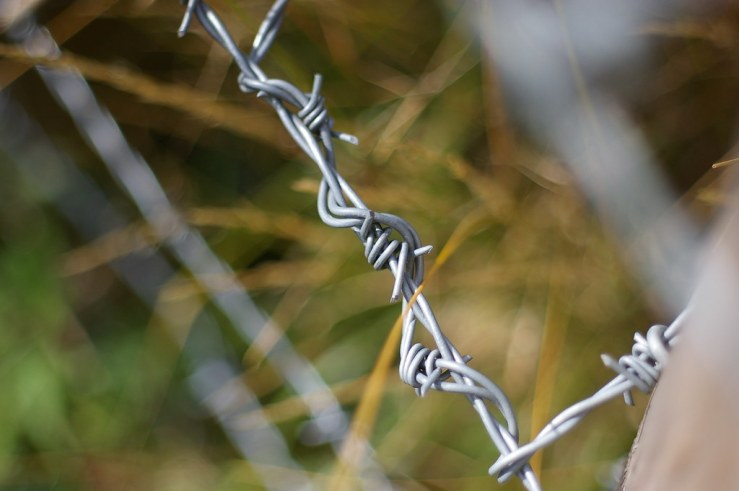 50130598451_a55dc61a24_b