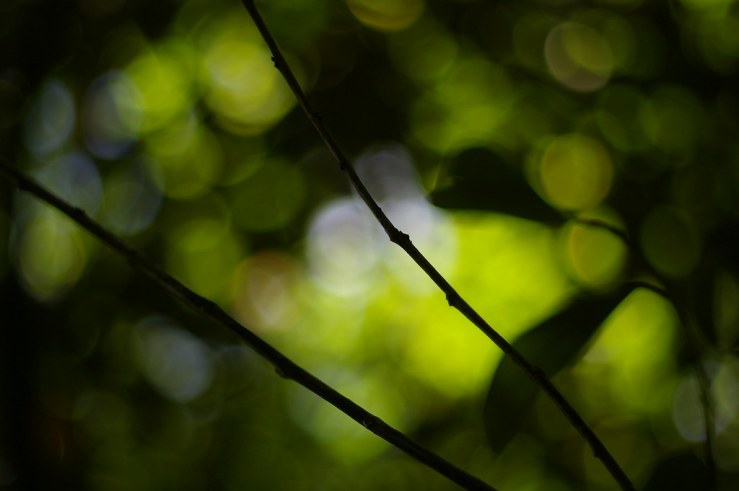 50130824117_352e9db39e_b