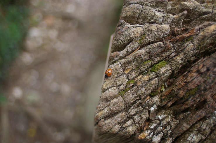 50130972727_c6744c1976_b