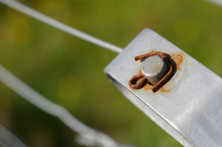 50155738283_18a404a73b_b