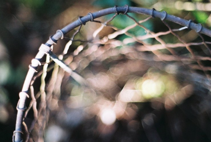 26027543592_01bb280958_b