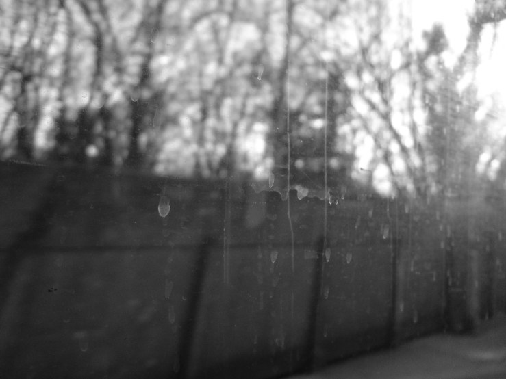 4318815460_d9a55c1794_b