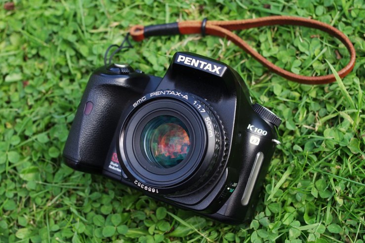 48482221746_e7a42bc7ec_b