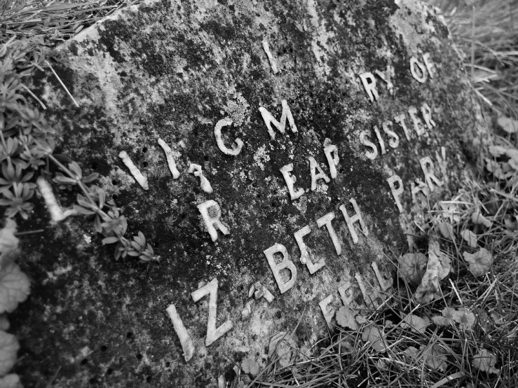 49214995892_1a019cac60_b