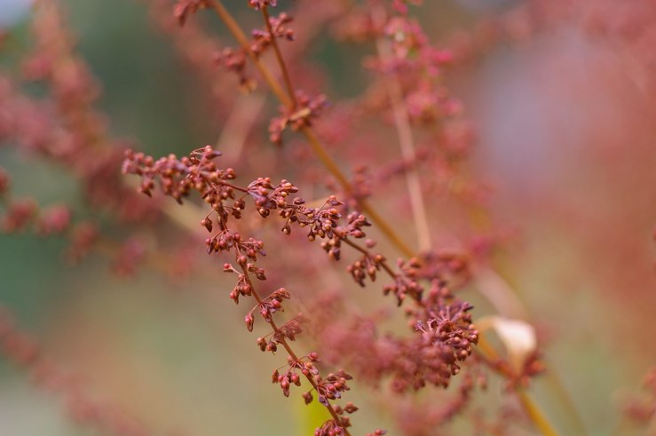 50205699047_528717f365_b