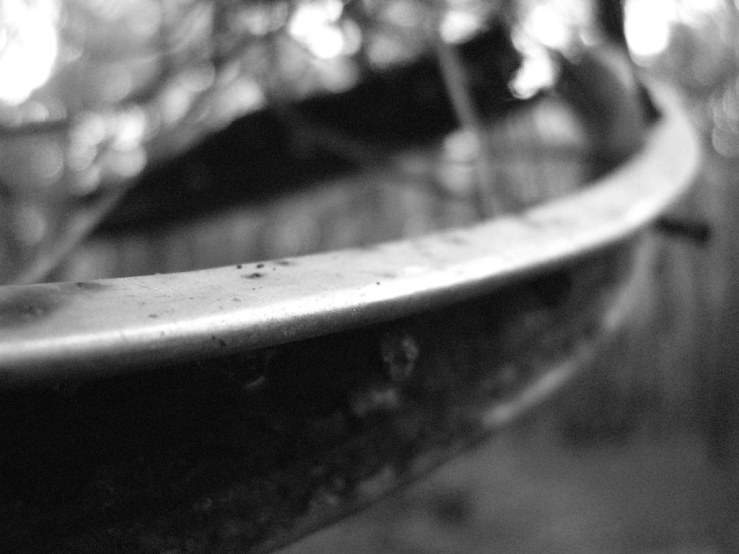 50282106626_31b9c923ba_b-1