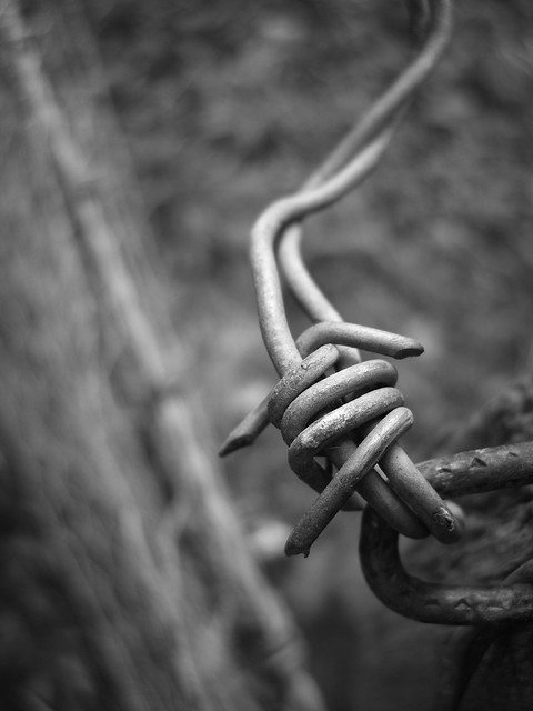 50282265927_99c4af42eb_z