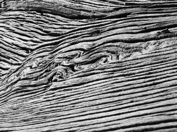 28301023158_5566540892_b